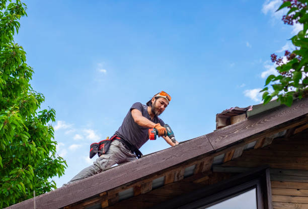 Best Green or Eco-Friendly Roofing Solutions  in Hurlock, MD